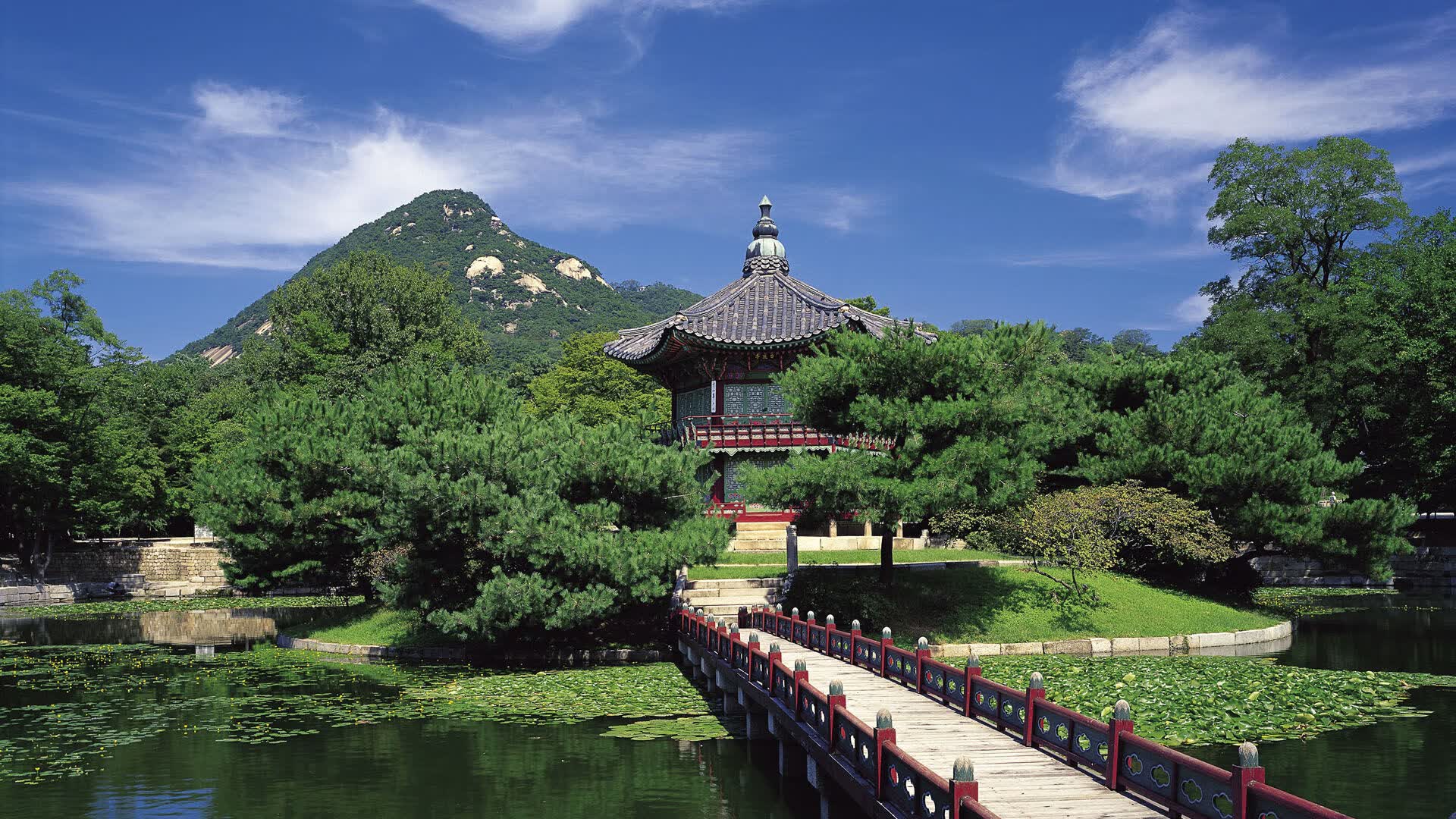 世界滑板青年赛城市文化交流成果展示,滑板世界大赛